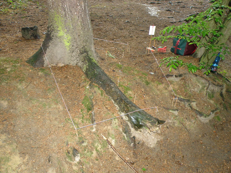 section6-02.jpg