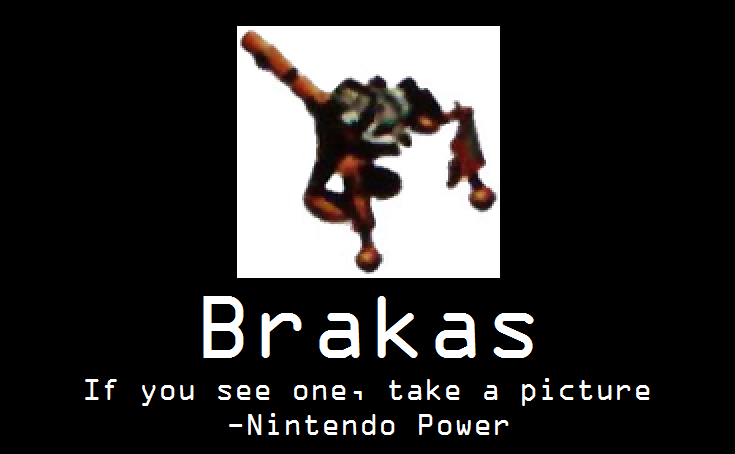brakas.png