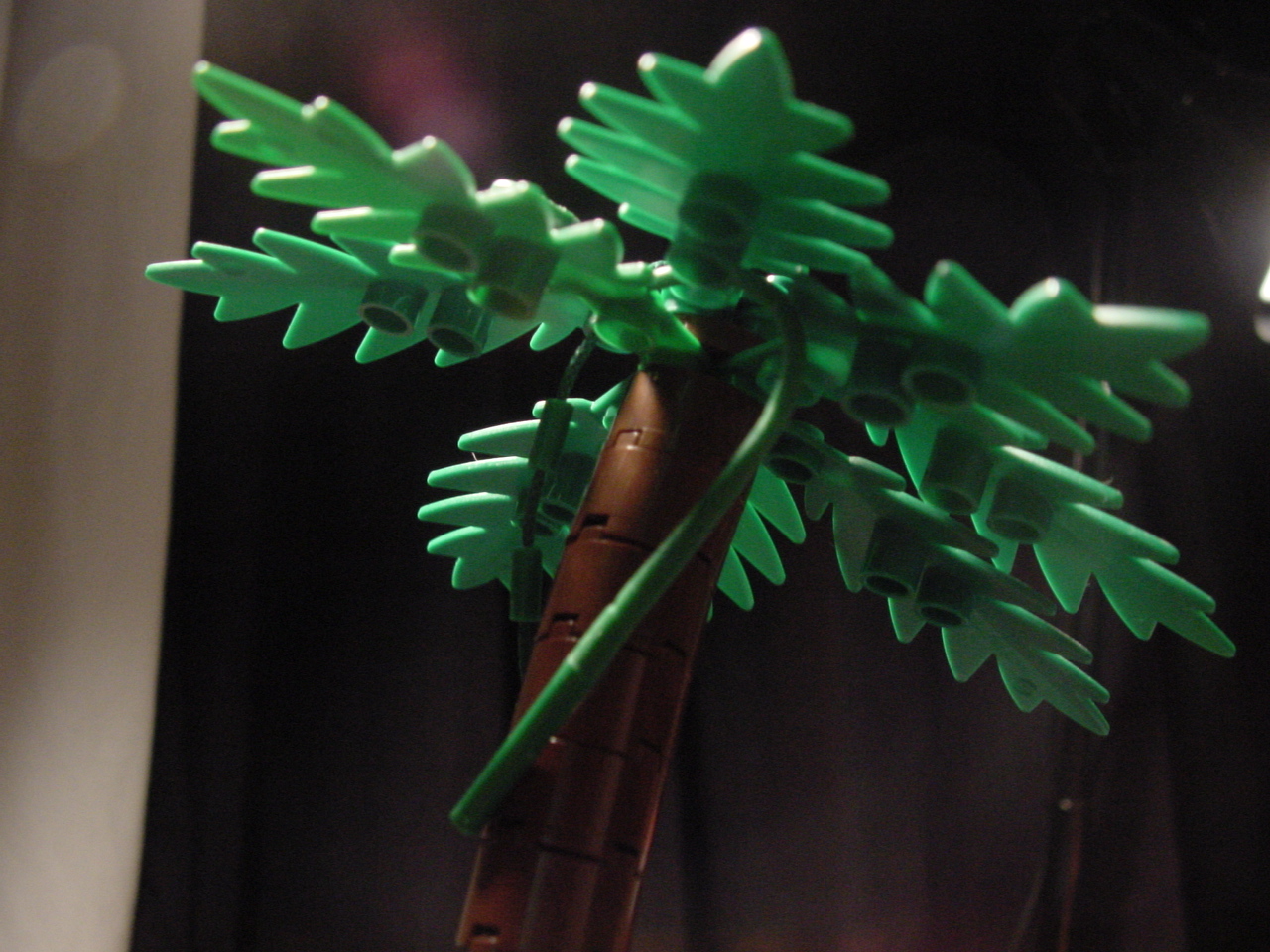 dsc00120.jpg