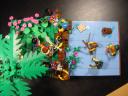 dsc00116.jpg
