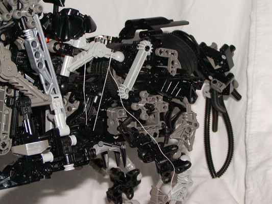 pc290074.jpg