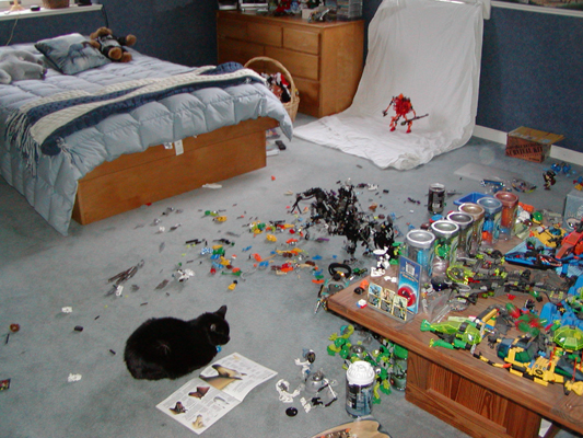 room1.jpg