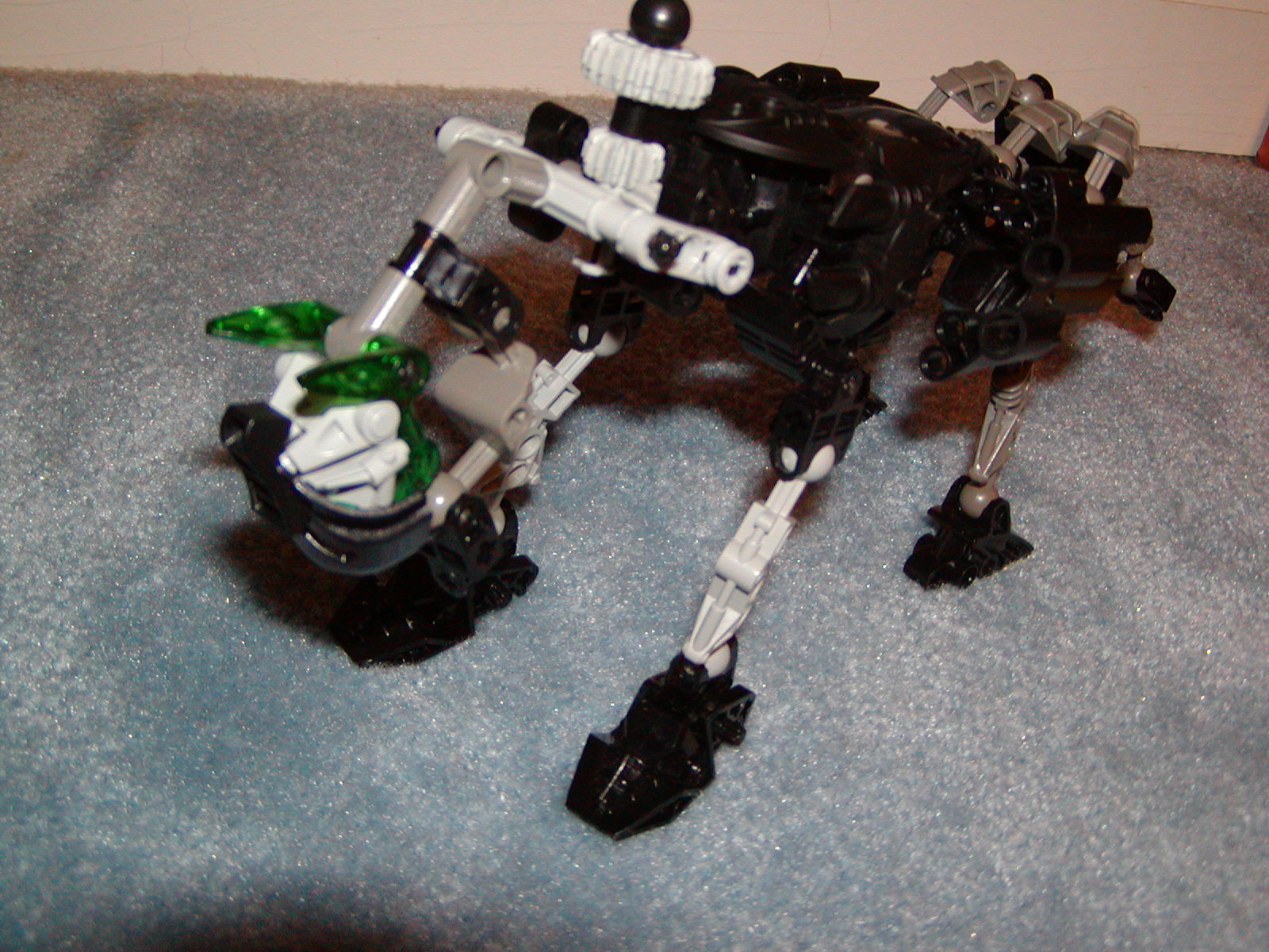 hoiho_grazing1.jpg