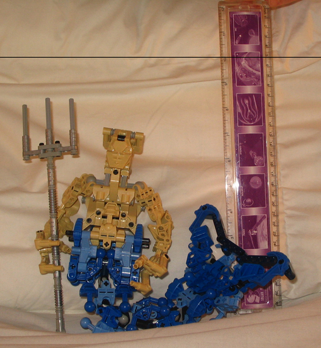 p_ruler.jpg
