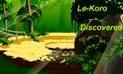 lekorodiscoveredbannersmall.jpg