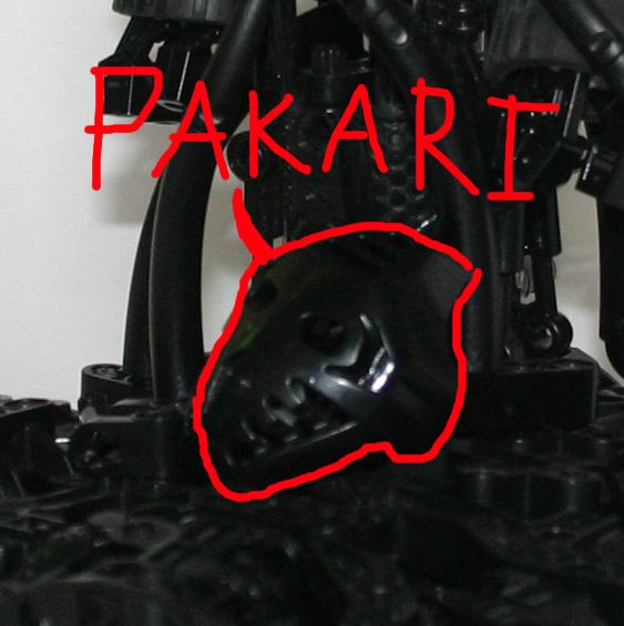 pakari.jpg