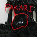 pakari.jpg