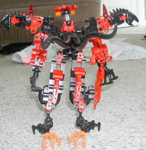 ddback.jpg