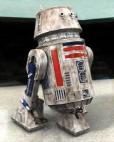 r5-d4__1a.jpg