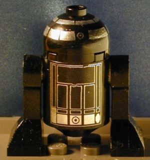 dscn2018.jpg