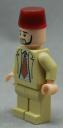 7053_sallah_b_4_fig.jpg