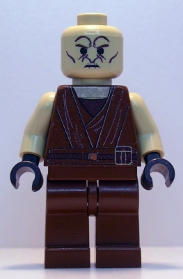 3019_saesee_tiin_-_fig.jpg