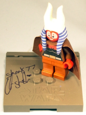 orli_shaak-ti.jpg