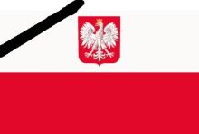 polish_flag_small.jpg