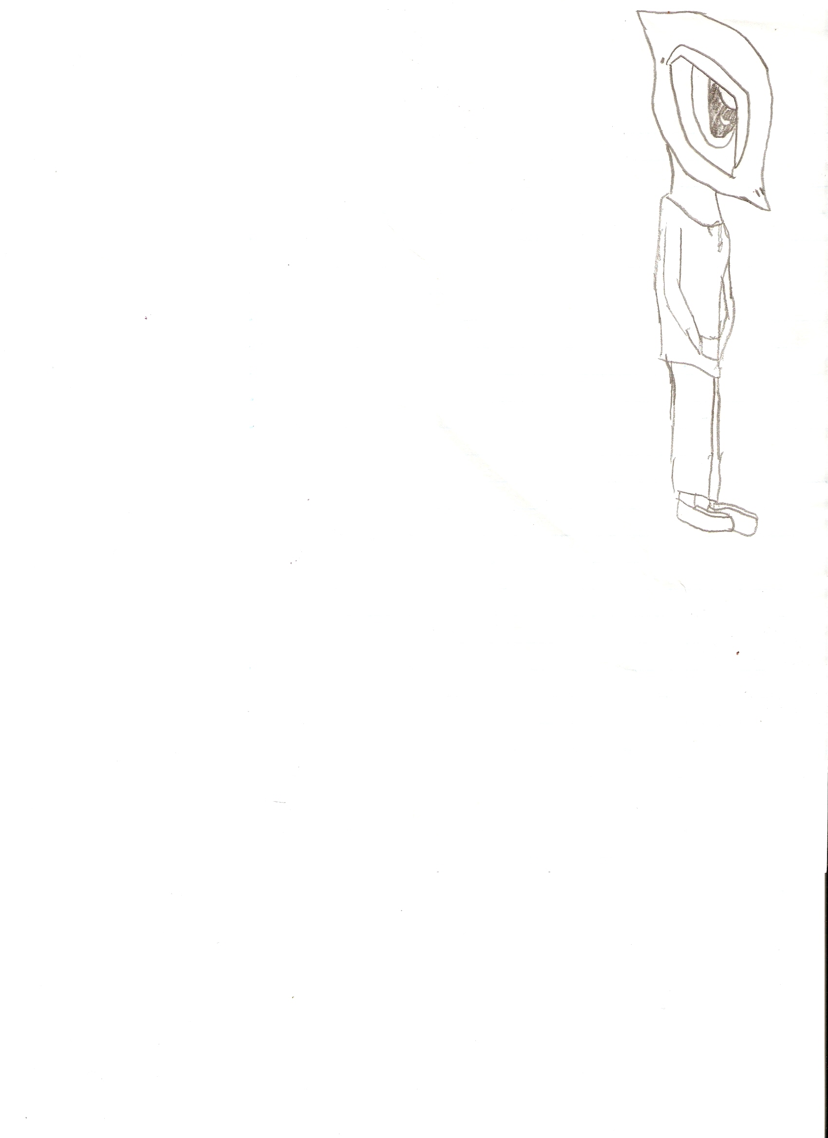 scan0003.jpg
