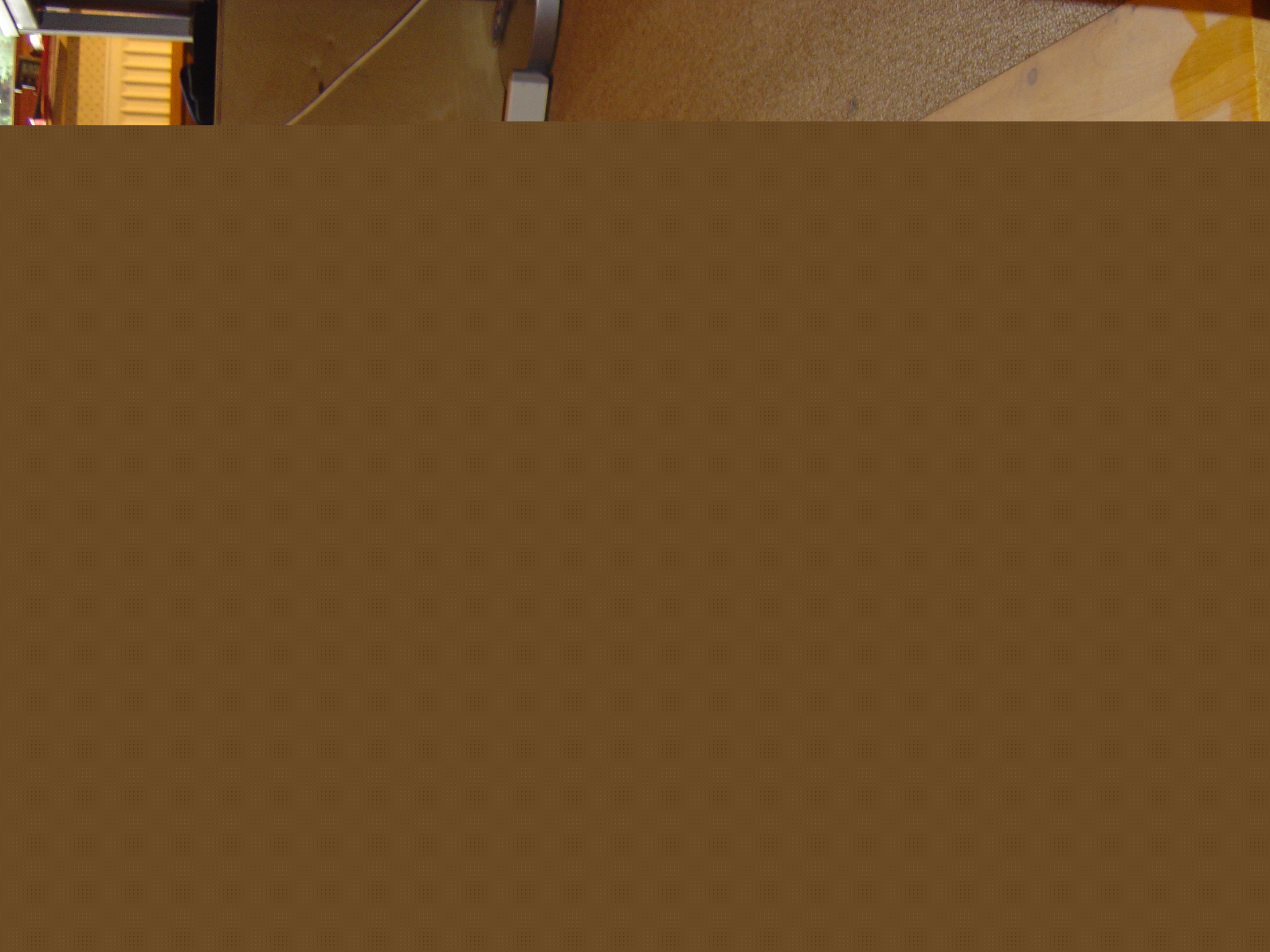 dsc01828.jpg
