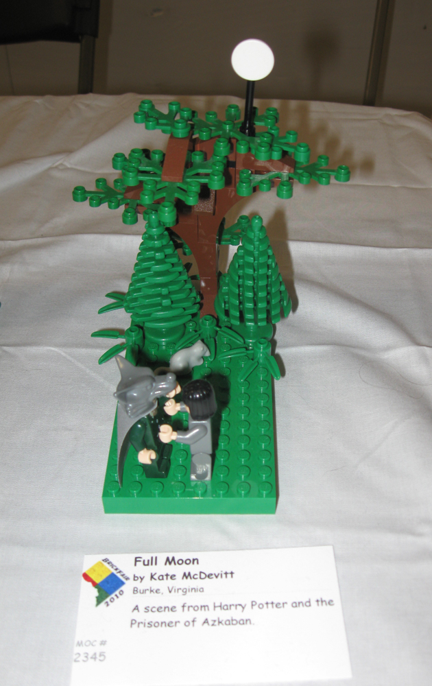 brickfair10_mine25.jpg