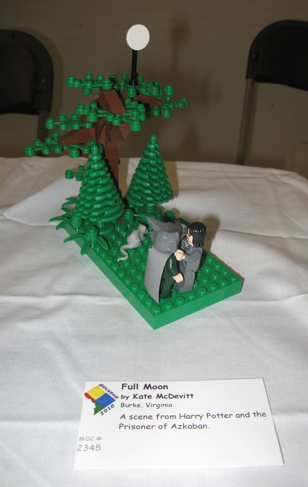 brickfair10_mine33.jpg