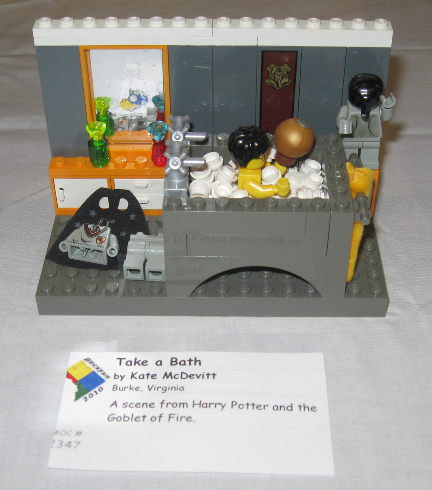 brickfair10_mine35.jpg