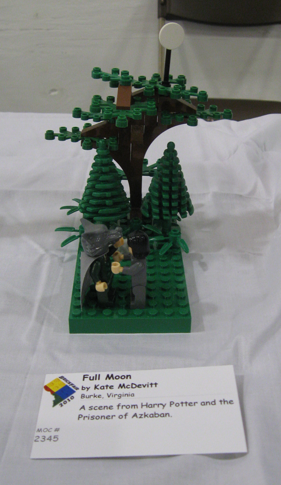 brickfair10_mine55.jpg