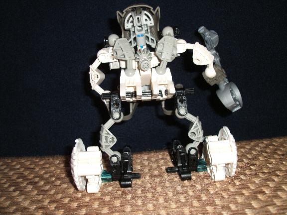 back.jpg