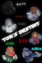 toadestiny_poster.png