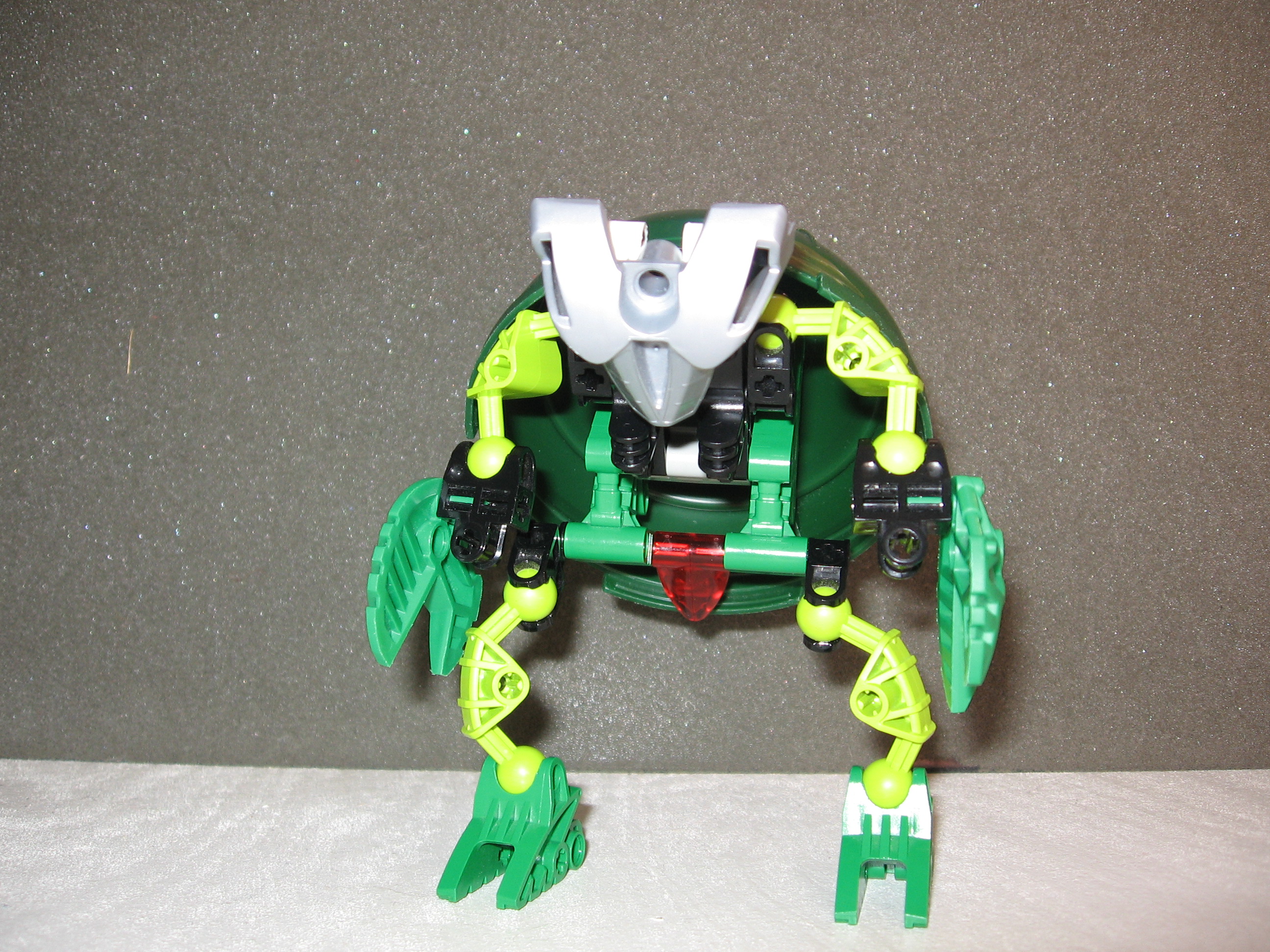 suvaturtle_001.jpg