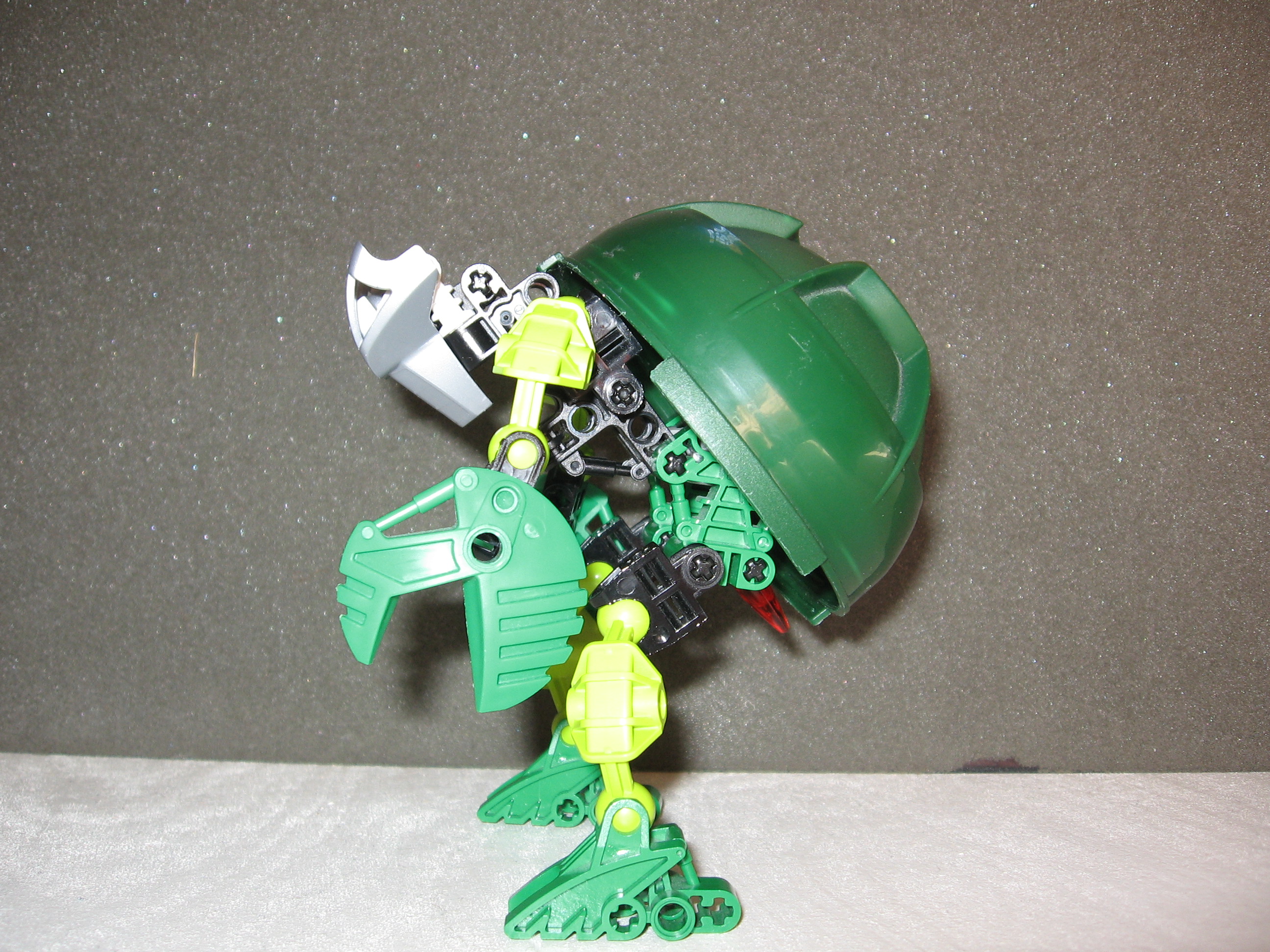 suvaturtle_002.jpg