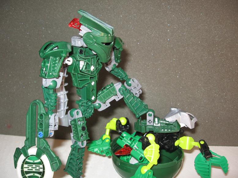 suvaturtle_small10.jpg