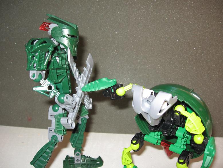 suvaturtle_small11.jpg