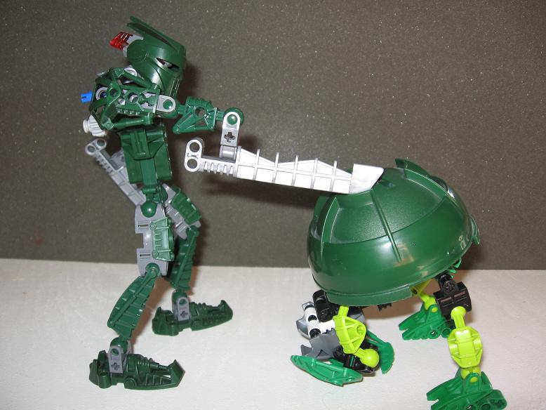 suvaturtle_small12.jpg
