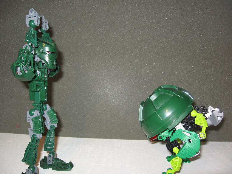 suvaturtle_small13.jpg
