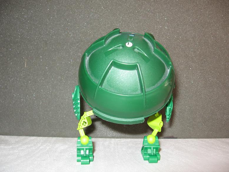 suvaturtle_small3.jpg