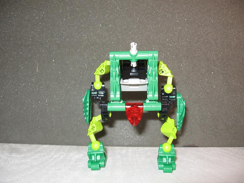 suvaturtle_small5.jpg