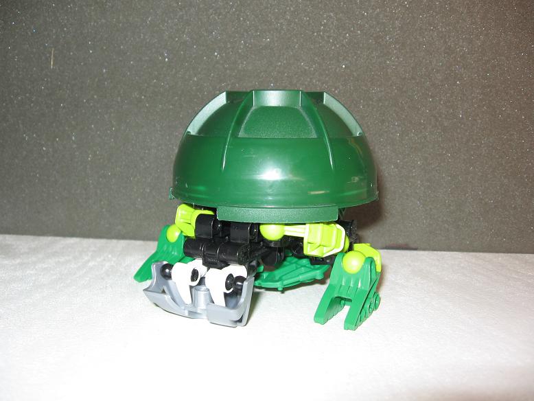 suvaturtle_small8.jpg