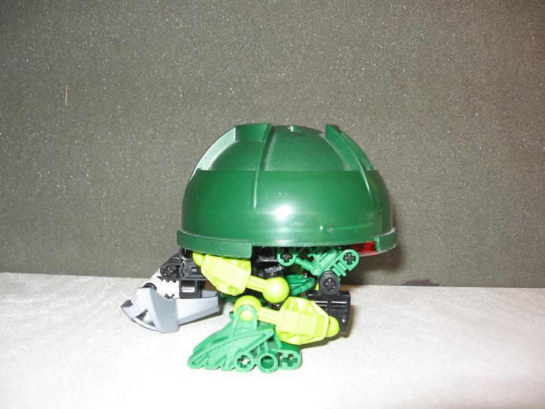 suvaturtle_small9.jpg