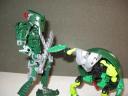 suvaturtle_small11.jpg