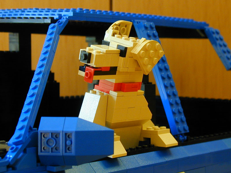 retriever.jpg