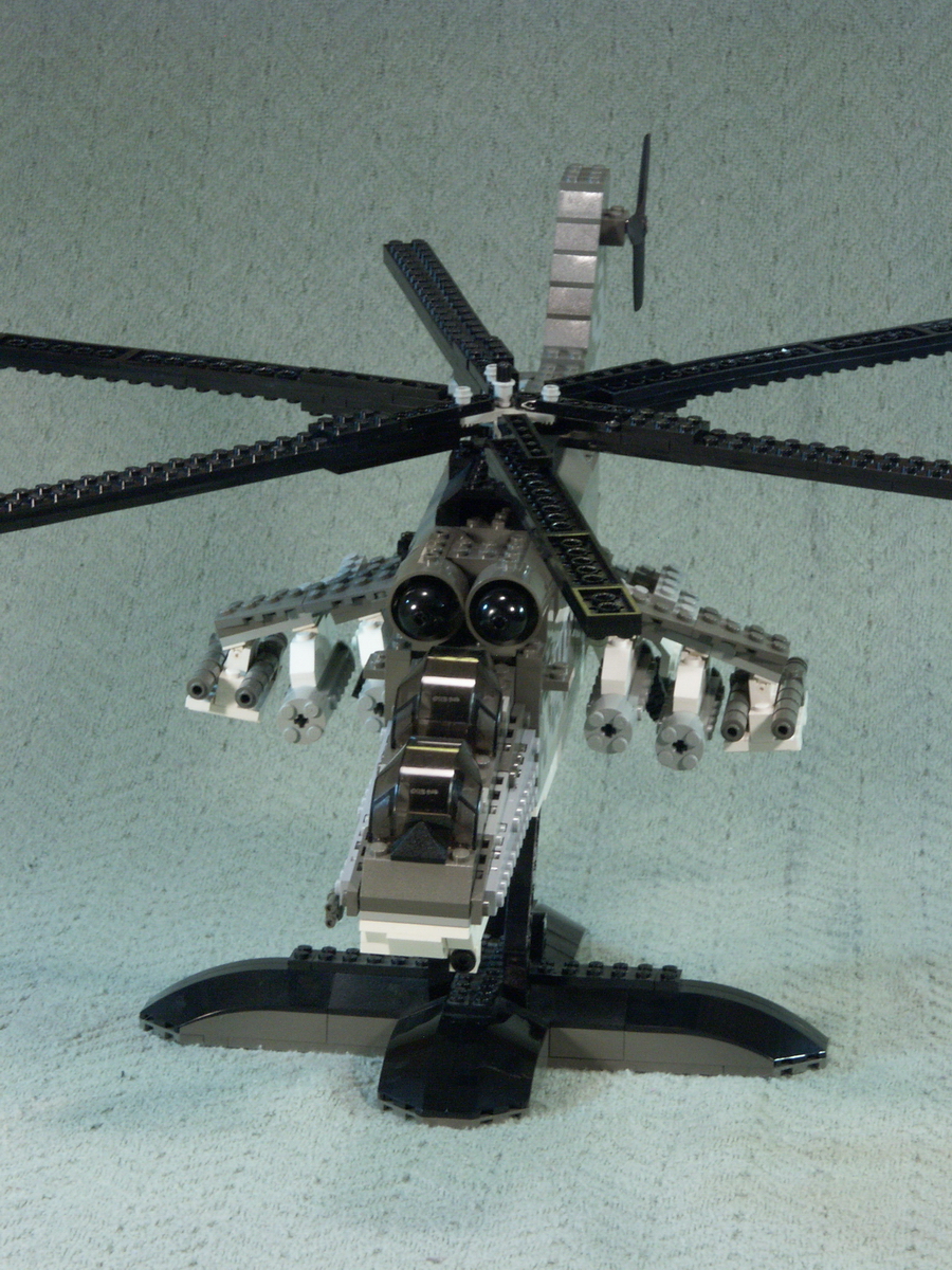 hind_02.jpg
