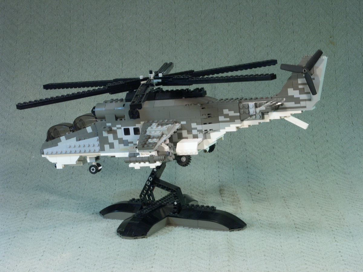 hind_06.jpg