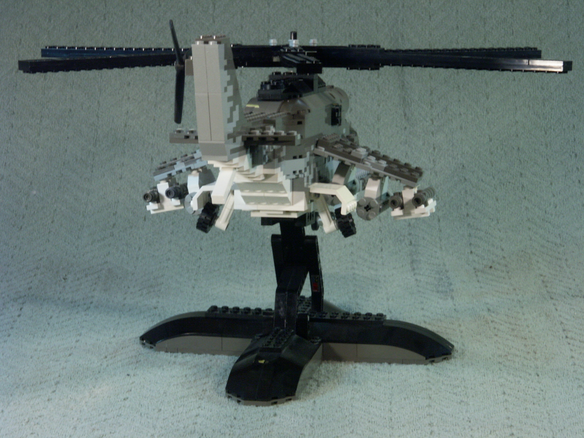 hind_08.jpg