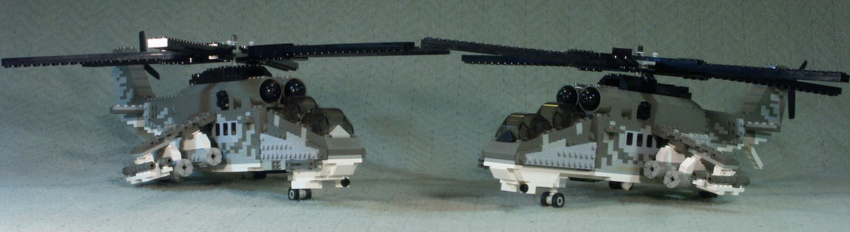 hind_09.jpg