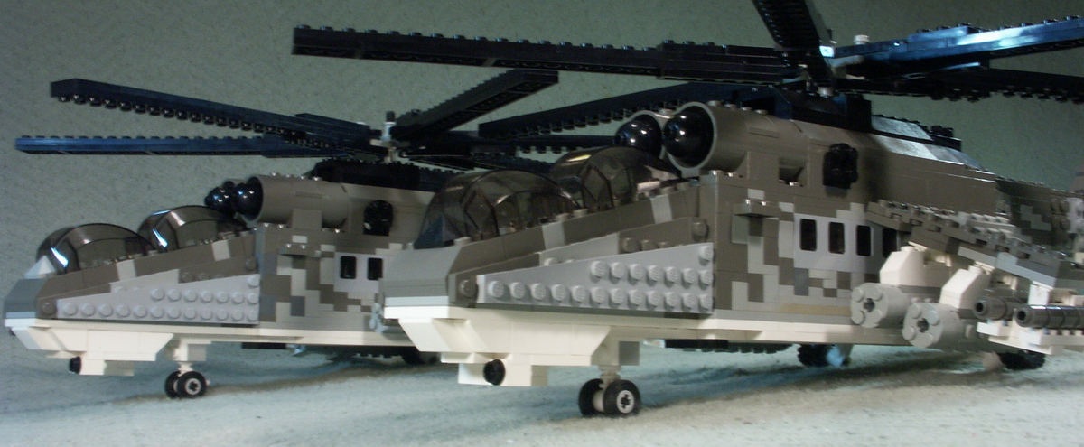 hind_10.jpg