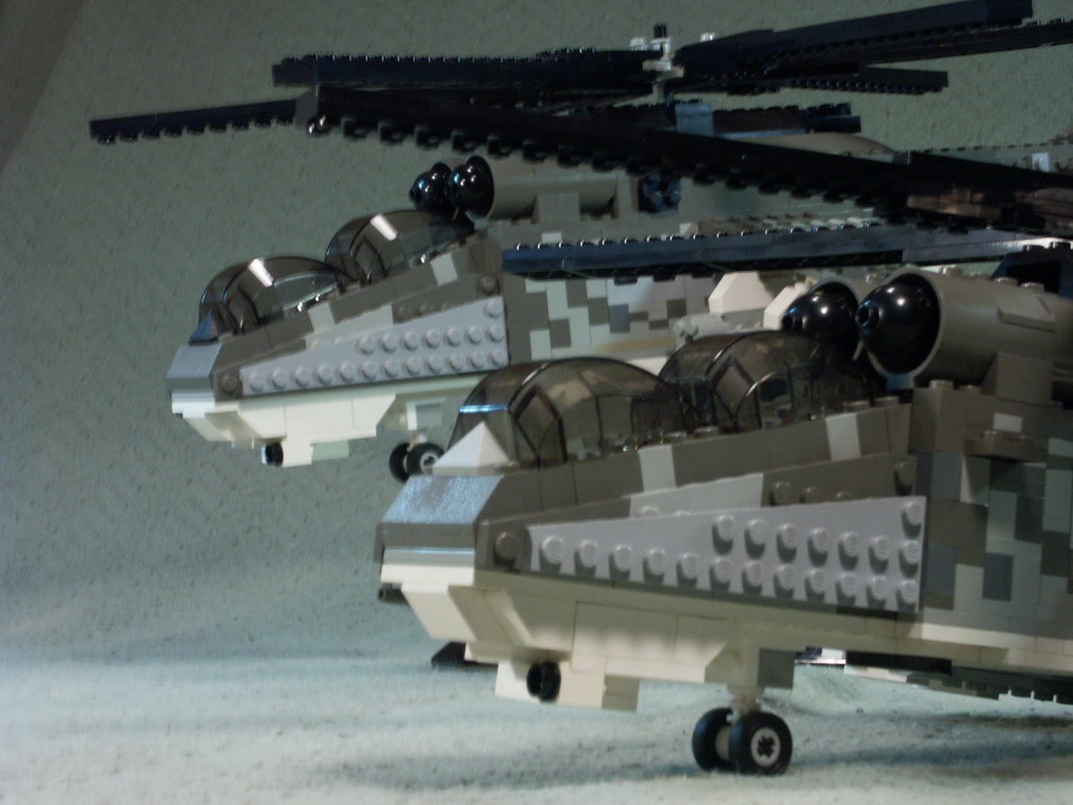 hind_11.jpg