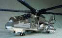 hind_05.jpg