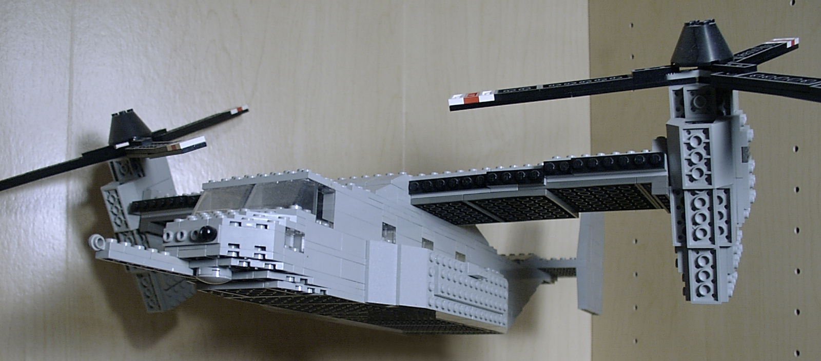 osprey_02.jpg