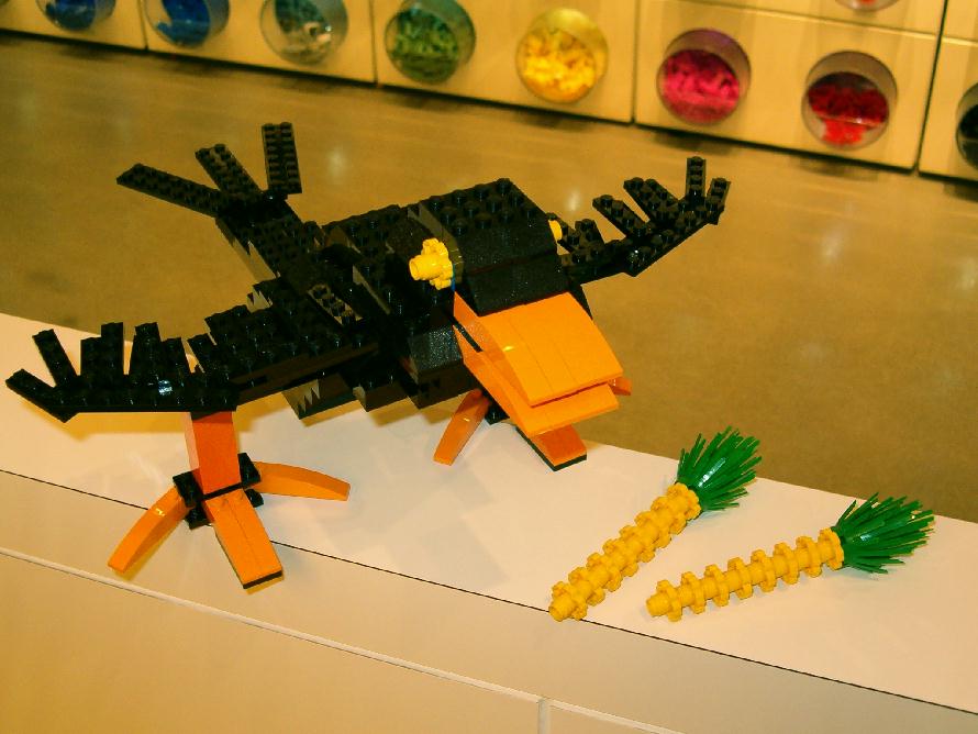 crow1.jpg