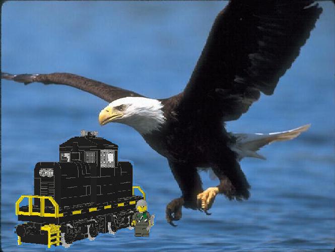 eagle.jpg
