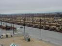 rail_head_3.jpg