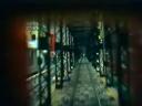 capture3.jpg